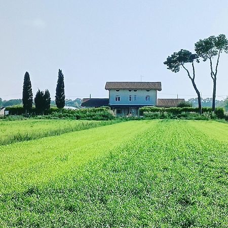Bed and Breakfast La Ricarda Dimora Di Campagna Paestum Zewnętrze zdjęcie