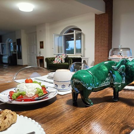 Bed and Breakfast La Ricarda Dimora Di Campagna Paestum Zewnętrze zdjęcie