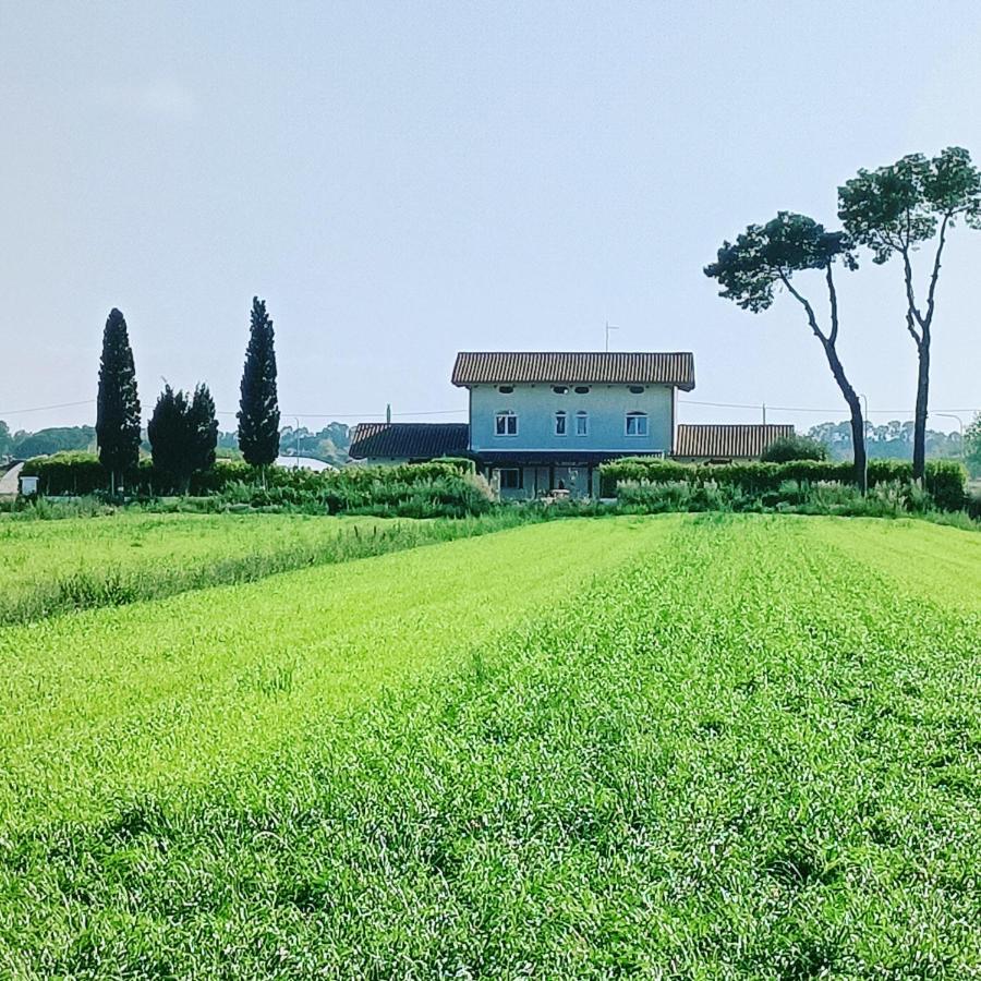 Bed and Breakfast La Ricarda Dimora Di Campagna Paestum Zewnętrze zdjęcie