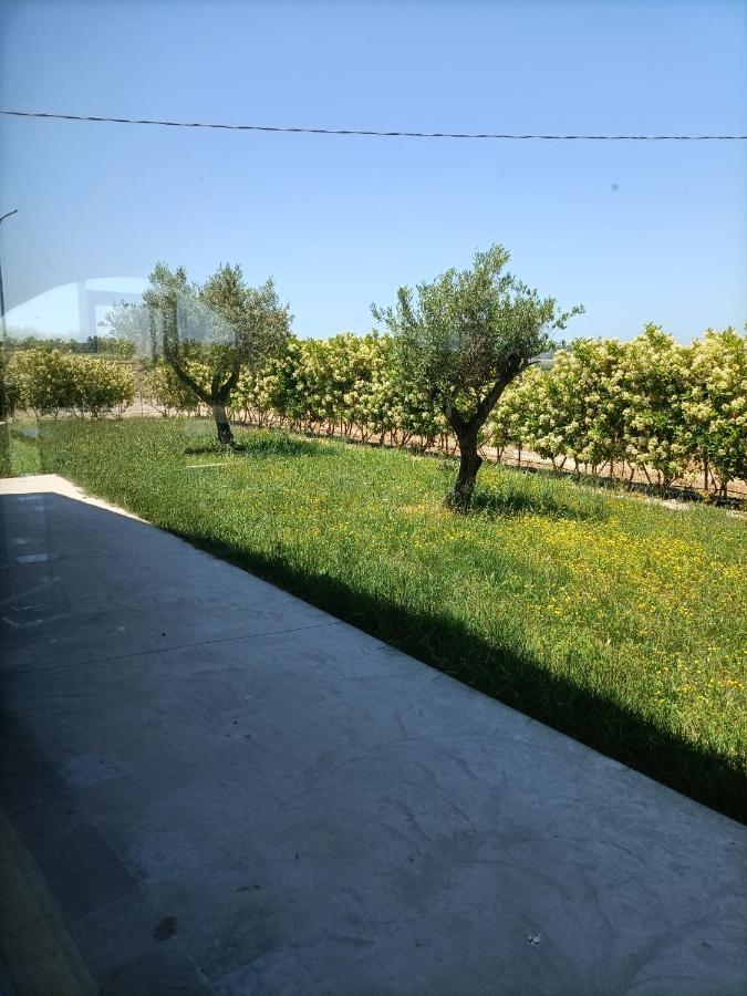 Bed and Breakfast La Ricarda Dimora Di Campagna Paestum Zewnętrze zdjęcie
