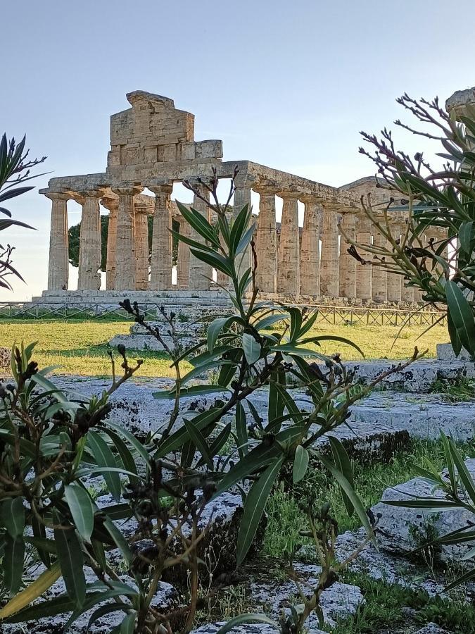 Bed and Breakfast La Ricarda Dimora Di Campagna Paestum Zewnętrze zdjęcie