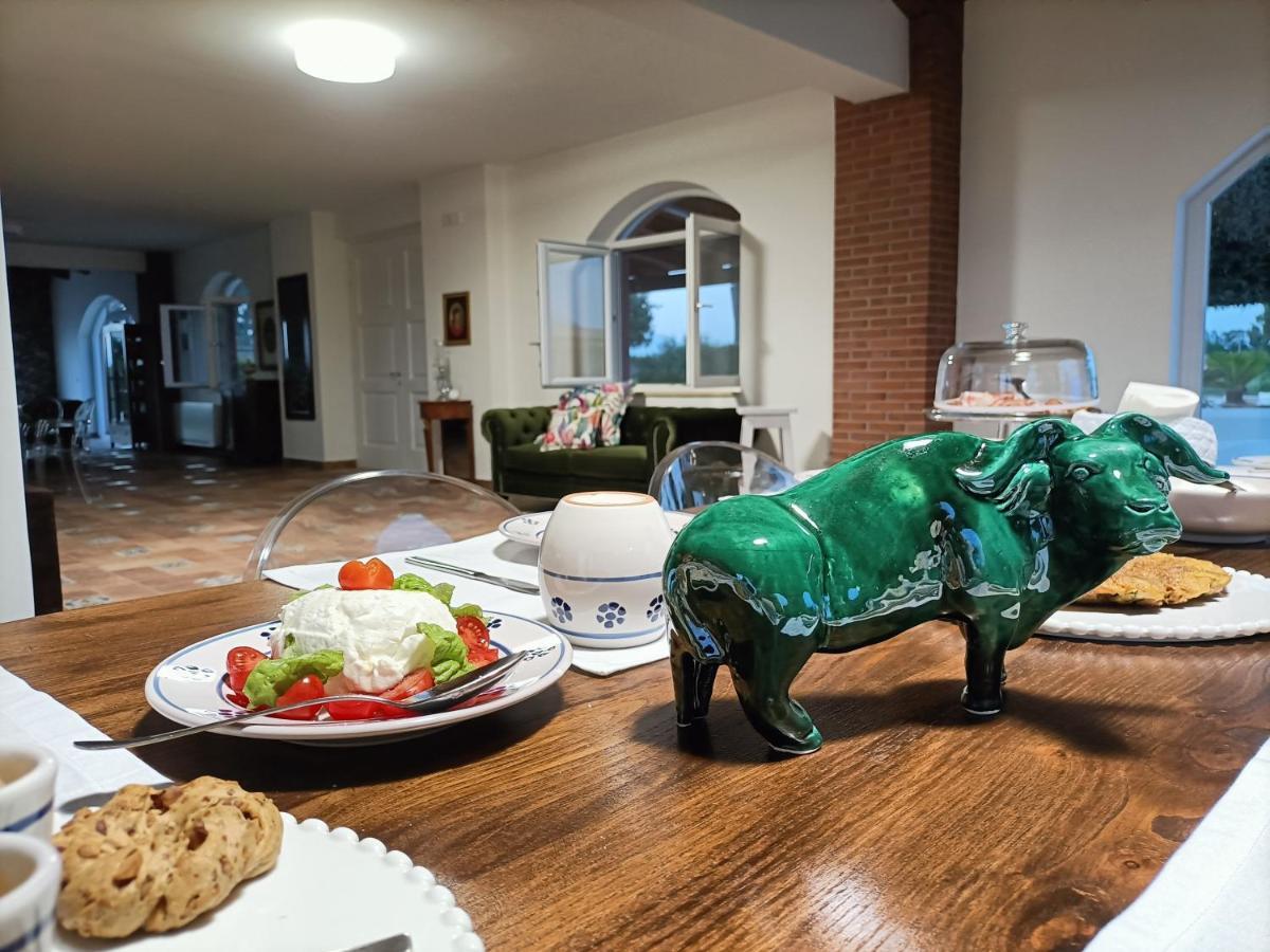 Bed and Breakfast La Ricarda Dimora Di Campagna Paestum Zewnętrze zdjęcie